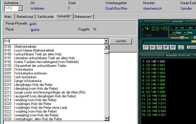 Abbildung der Bildschirmmaske mit Combo-Box Sematik-Tabelle