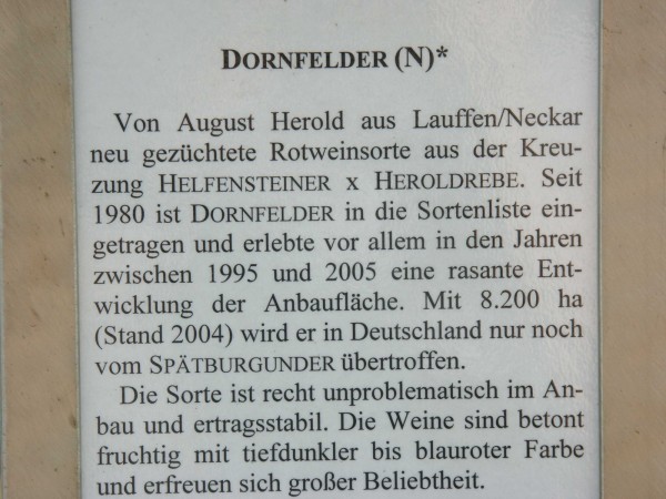 Dornfelder, Beschreibung 