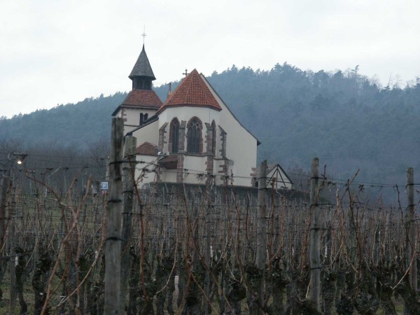 Weinberg in Dambach-la-Ville mit der Kapelle St. Sebastien 