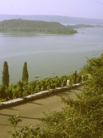 Bern: Blick v. Weinlehrpfad Ligerz auf den Bieler See 