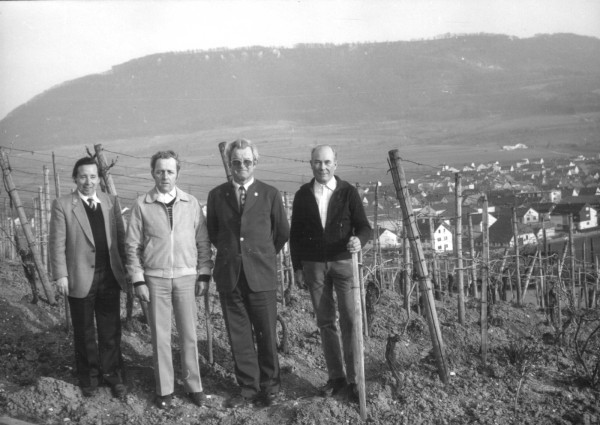 Weinberg in Metzingen mit Explorator Prof. Dr. Wolfgang Kleiber 