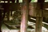 Baumpresse mit aufgeschichteten Presshölzern 