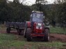 Traktor u. Anhänger mit den Transportgefäßen für das Lesegut 