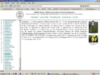Bildschirmmaske des WDW-Online-Wörterbuches