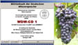 Eingangsbildschirm der WDW 1 (CD)