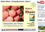 Rebsorten am Rhein - Fotoshow: Film bei You Tube